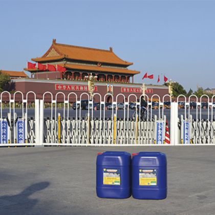 Tian Na Men Square - China - Protege Ultra